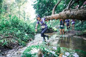 BIB: 
                            <button type="button" onclick="openModal(25447735)" class="btn btn-primary btn-sm float-right btn-popup" data-toggle="modal" data-target=".modal-high-quality">
                        <i class="fas fa-shopping-cart"></i> Add to Cart
                    </button>
                                            <button type="button" onclick="isThisMe(25447735, true)" class="btn btn-success btn-sm float-right btn-popup btn-isme hidden" data-toggle="tooltip" data-placement="bottom" title="นี่คือรูปของคุณใช่ไหม คลิกที่นี่เพื่อเอาเข้าอัลบั้ม">
                        <i class="fas fa-plus"></i> Add to album
                    </button>
                    <button type="button" onclick="isThisMe(25447735, false)" class="btn btn-warning btn-sm float-right btn-popup btn-isnotme hidden">
                        <i class="fas fa-ban"></i> Remove from album
                    </button>